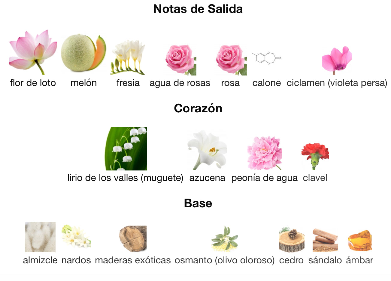 LEAU DISSEY - ISSEY MIYAKE