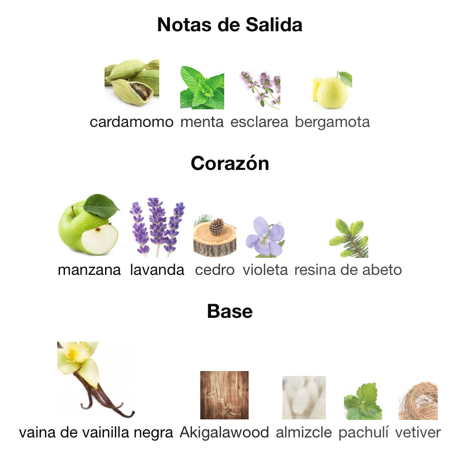 LEGEND NIGHT - MONTBLANC