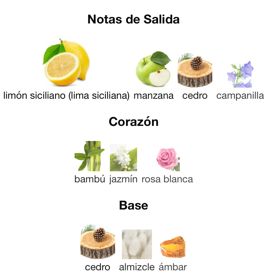 LIGHT BLUE - DOLCE & GABBANA