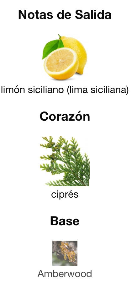 LIGHT BLUE SUMMER VIBES - DOLCE & GABBANA