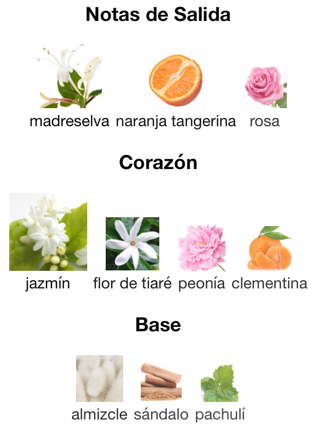 LONDON FOR WOMEN - BURBERRY