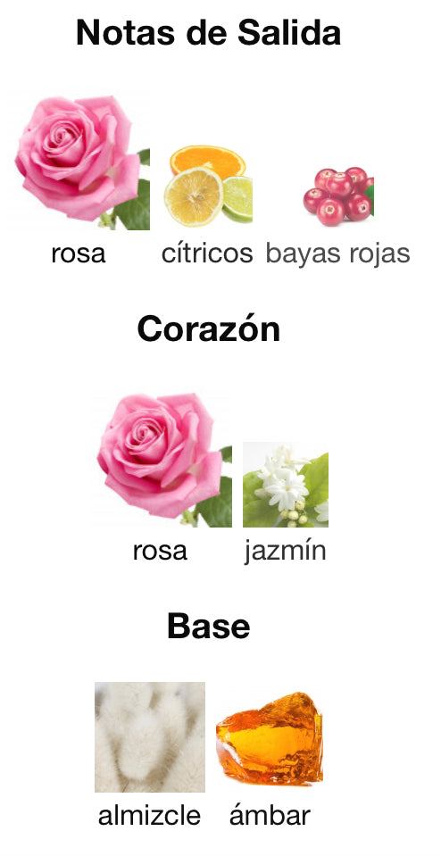 L´AVENTURE ROSE - AL HARAMAIN