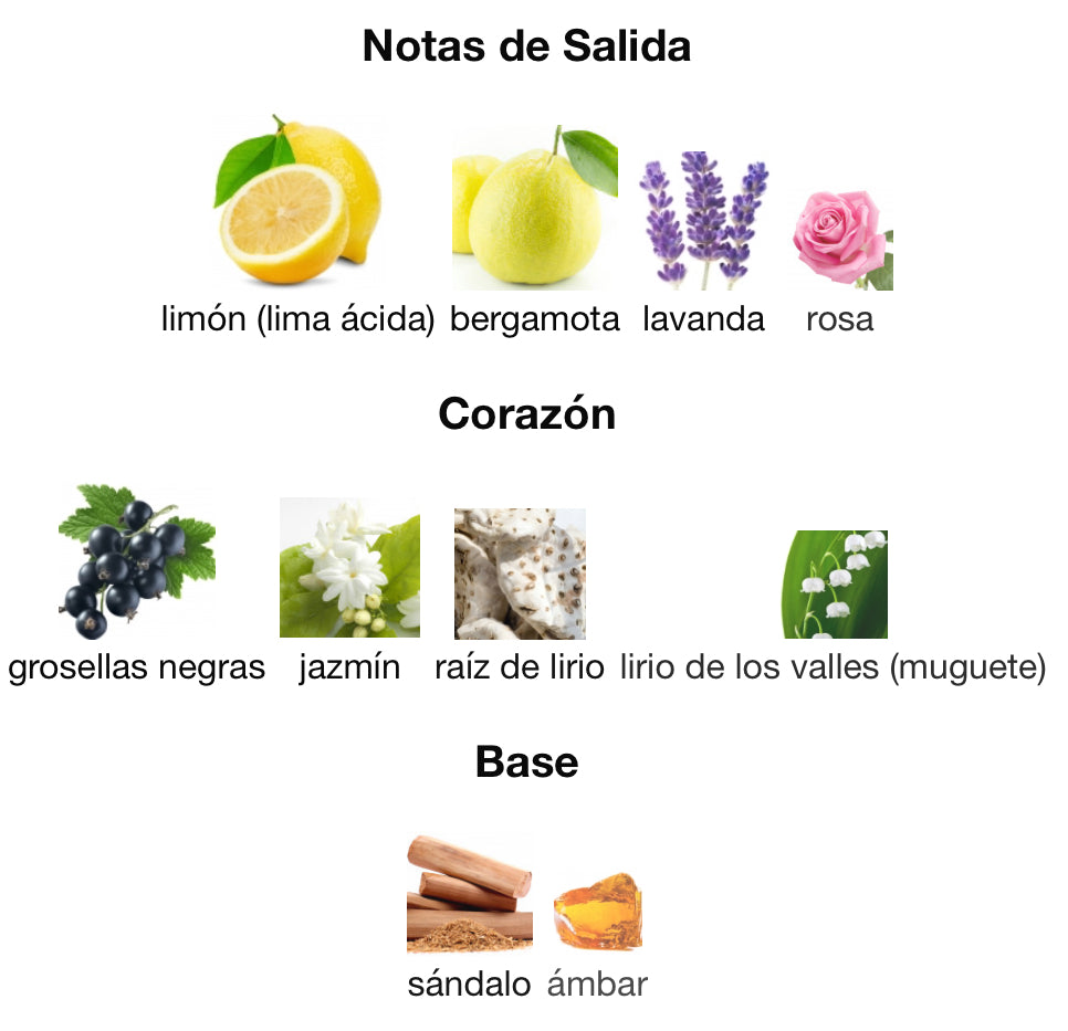 L’ AVENTURE BLANCHE - AL HARAMAIN