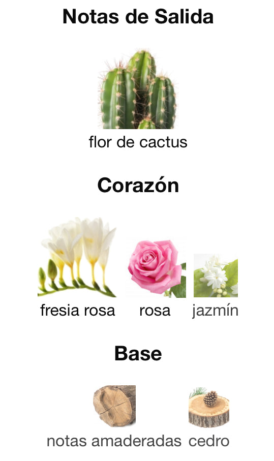 MA VIE POUR FEMME - HUGO BOSS