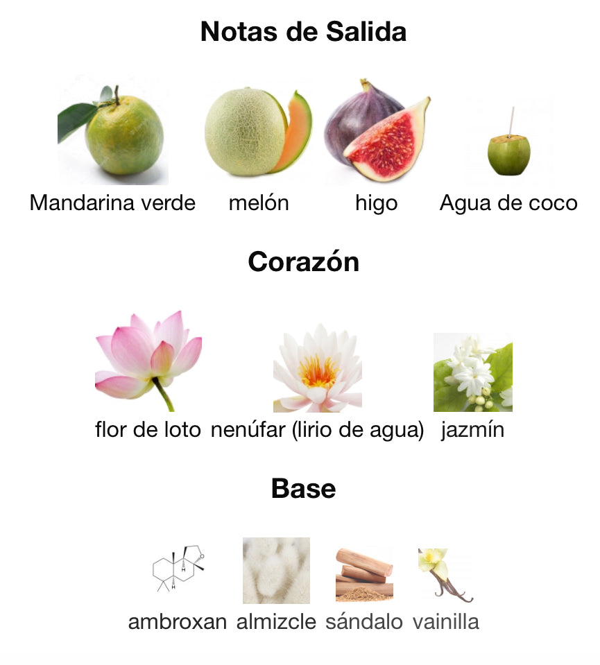 MAYAR NATURAL INTENSE - LATTAFA