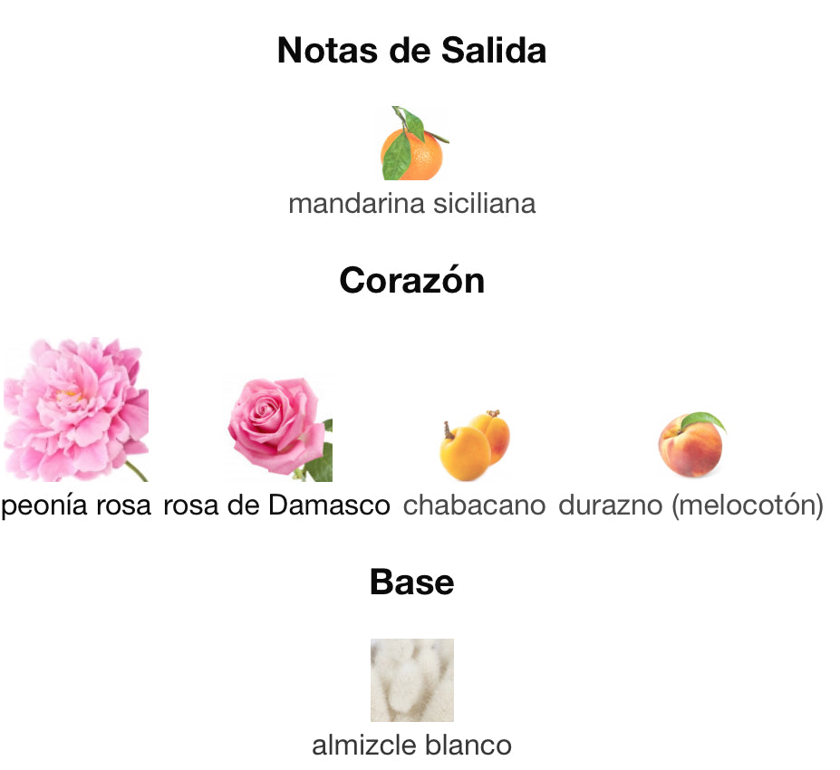 MISS DIOR BLOOMING BOOUQUET - DIOR