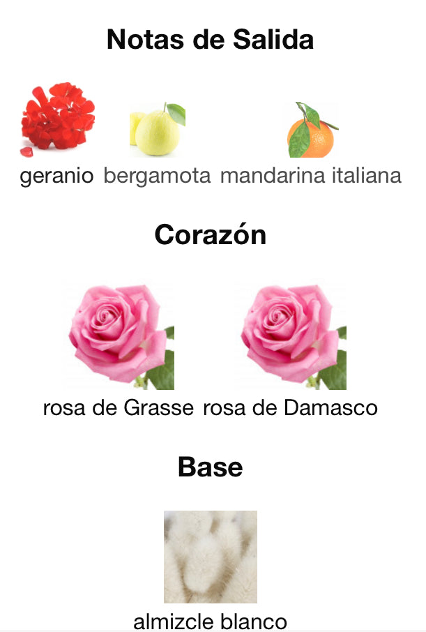 MISS DIOR ROSE N´ROSES - DIOR