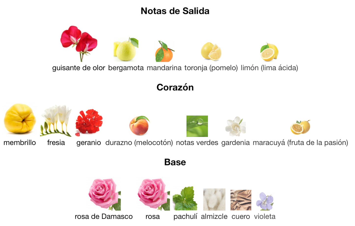 MY BURBERRY - BURBERRY