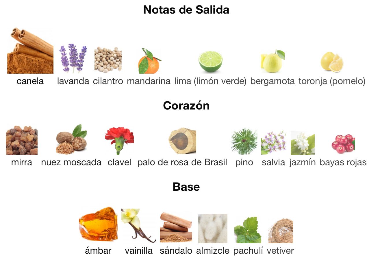 OBSESSION FOR MEN - CALVIN KLEIN