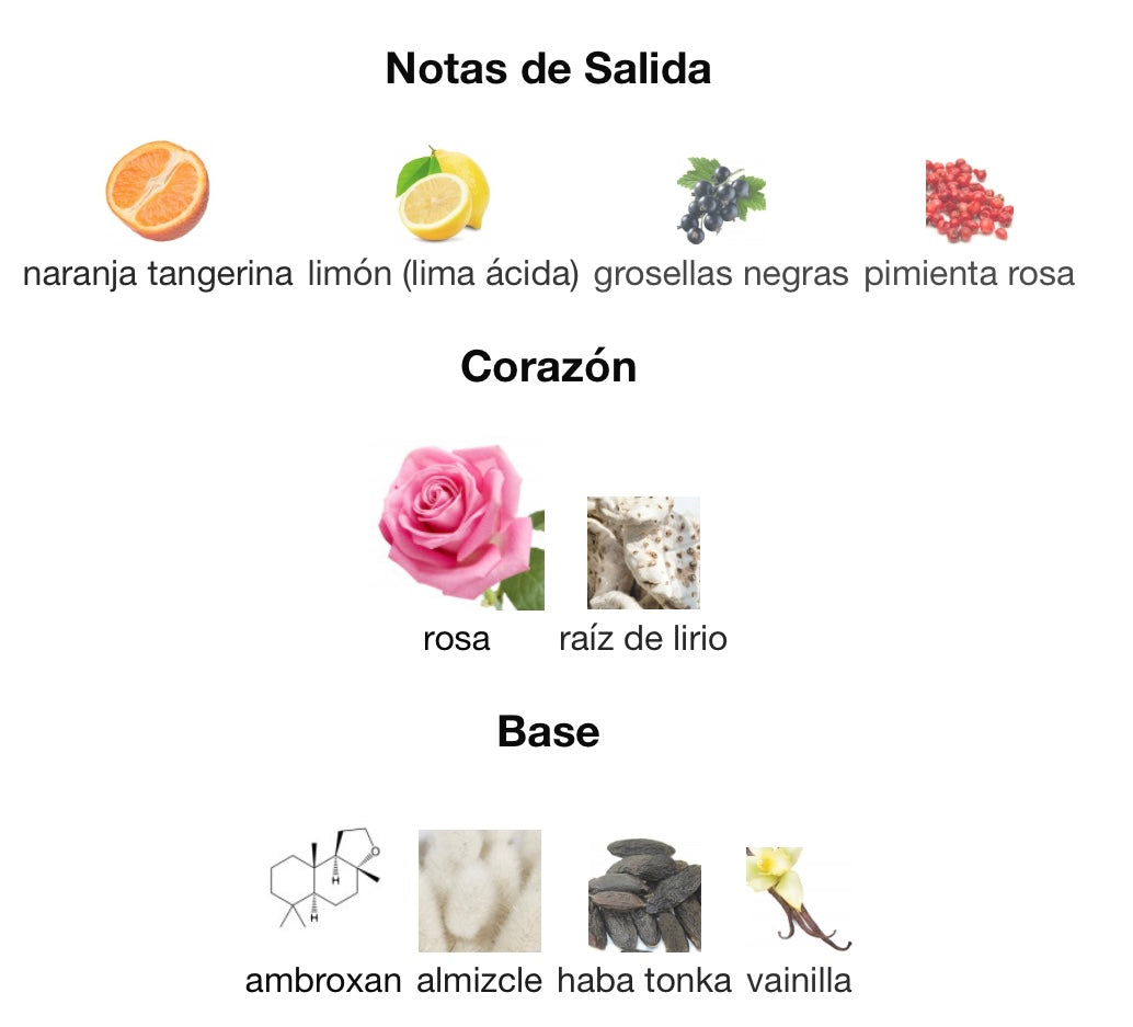 OH THE ORIGIN - TOUS