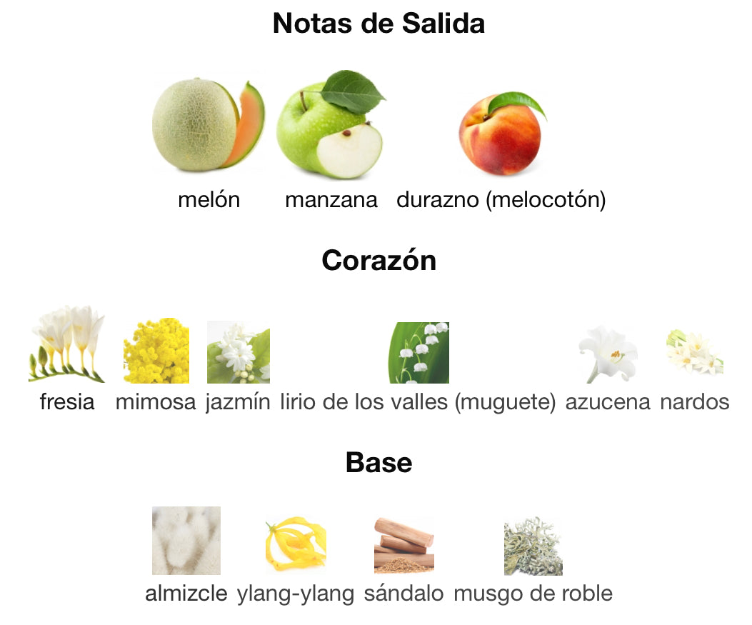 PARIS HILTON - PARIS HILTON