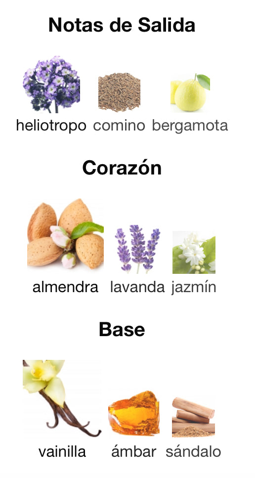 PERSEUS - MAISON ALHAMBRA