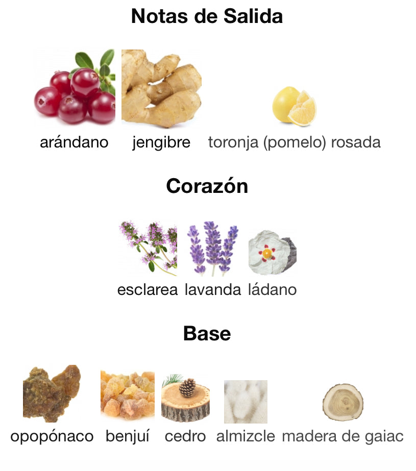 POLO RED - RALPH LAUREN EDP