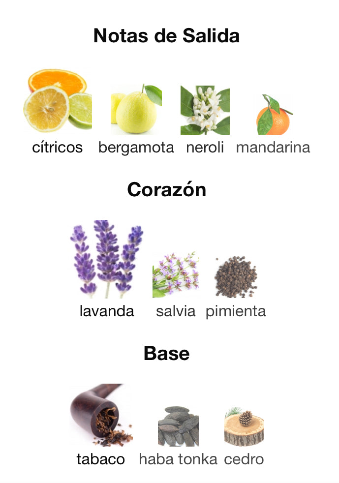 POUR HOMME - DOLCE & GABBANA