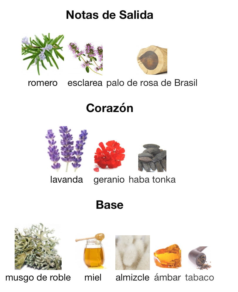 POUR HOMME - PACO RABANNE