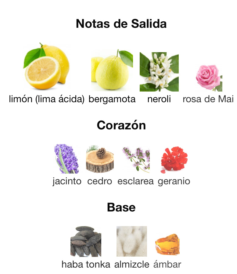 POUR HOMME - VERSACE