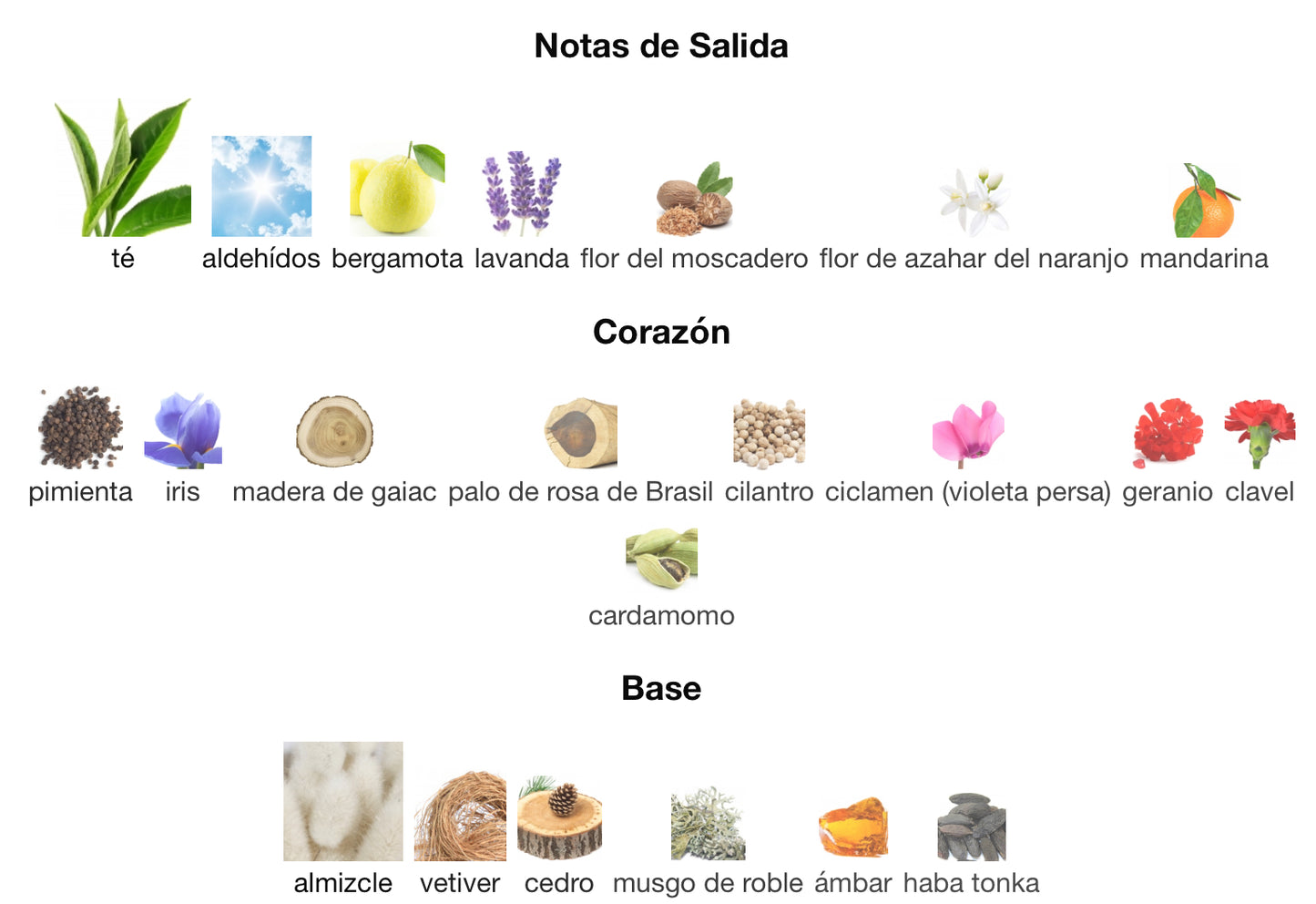 POUR HOMME EXTREME - BVLGARI