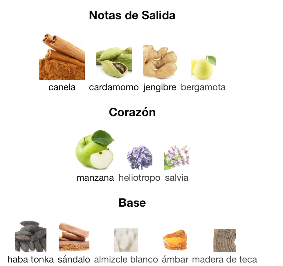 PRESENCE - MONTBLANC