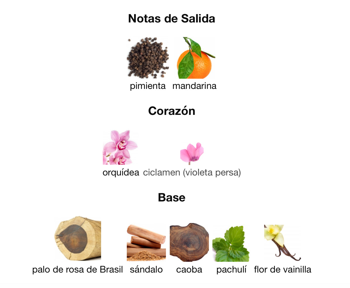 PRESENCE - MONTBLANC