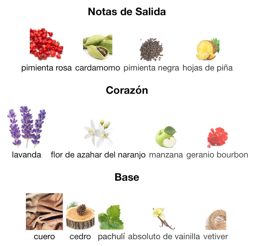 PRIVATE KEY TO MY DREAMS - ARMAF