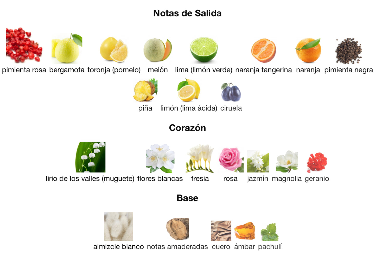 PRIVATE KEY TO MY LIFE - ARMAF