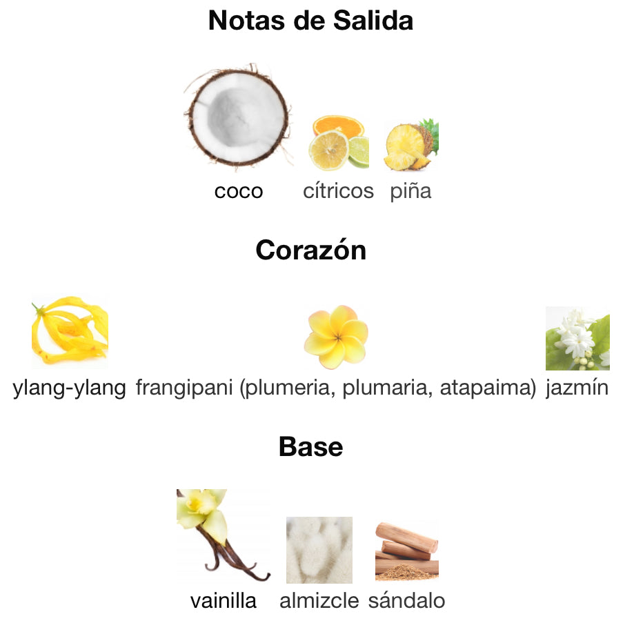 QAED AL FURSAN UNLIMITED - LATTAFA