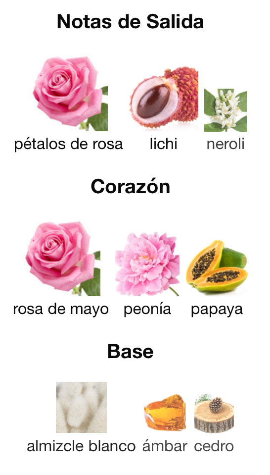 ROSE RUSH - PARIS HILTON