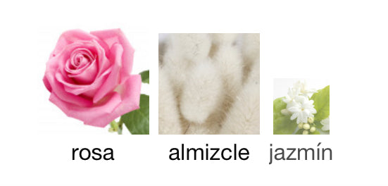 ROSES MUSK - MONTALE