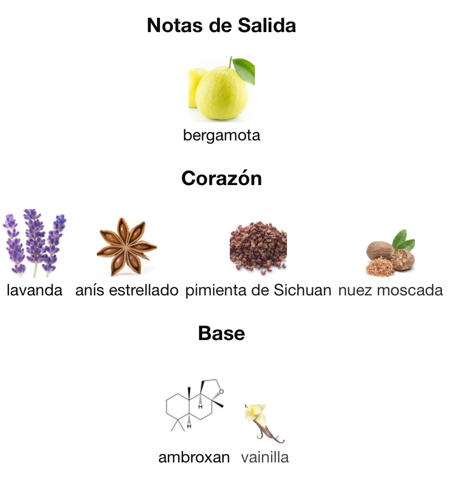 SALVO INTENSE - MAISON ALHAMBRA