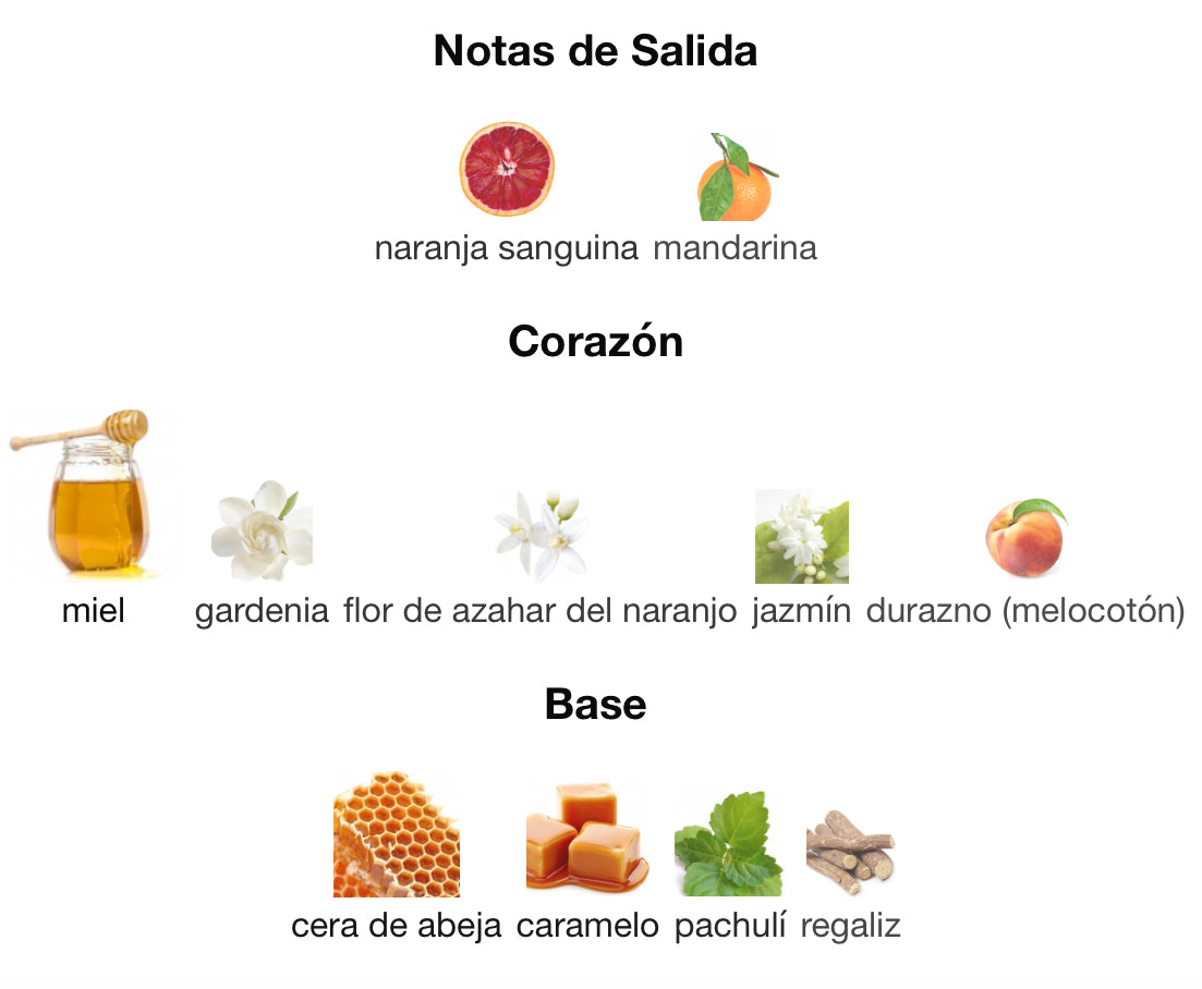 SCANDAL - JEAN PAUL GAULTIER