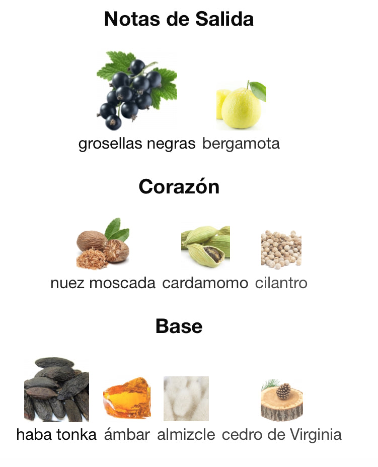 SEDUCTION IN BLACK - ANTONIO BANDERAS