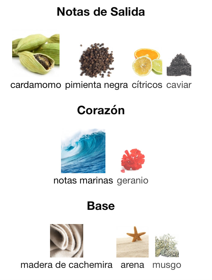 SEDUCTIVE HOMME BLUE - GUESS