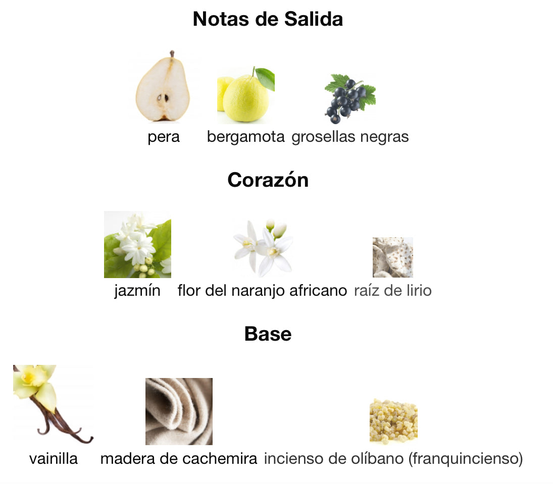 SEDUCTIVE WOMAN - GUESS