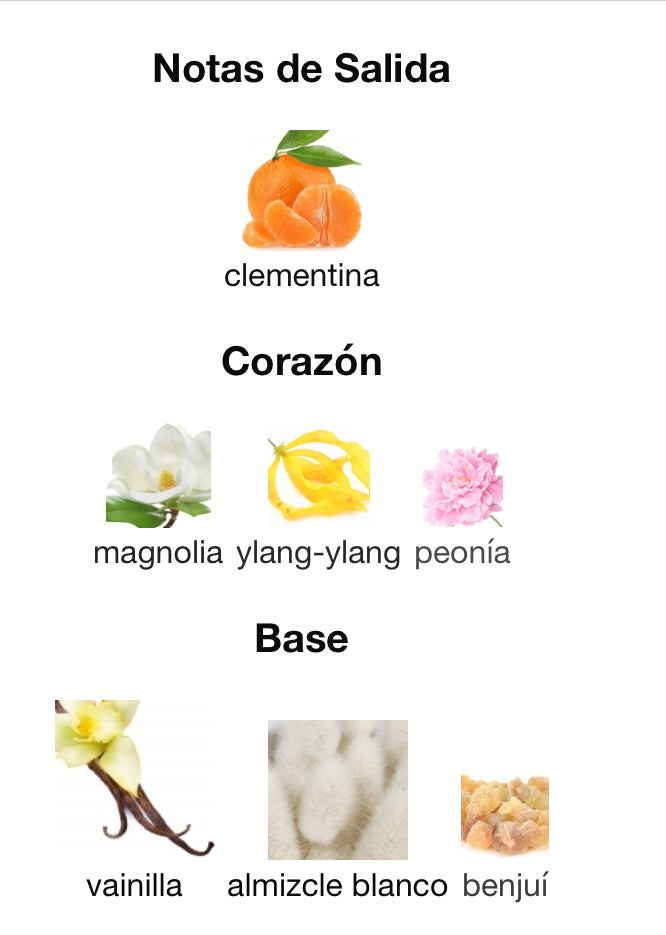 SIGNATURE - MONTBLANC