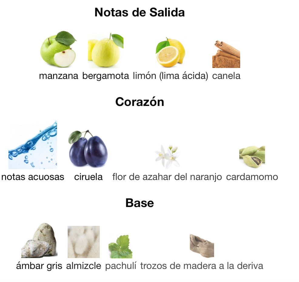 HAWAS FOR HIM - RASASI