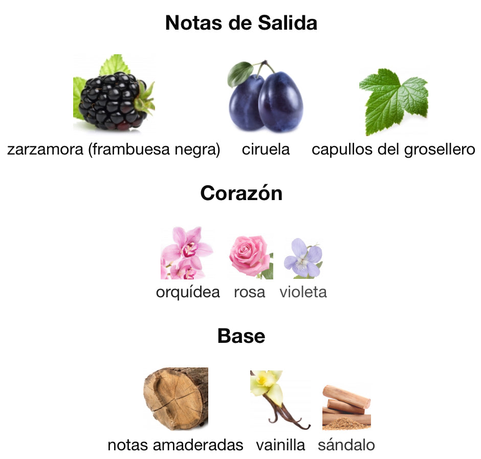 SOFIA - SOFIA VERGARA