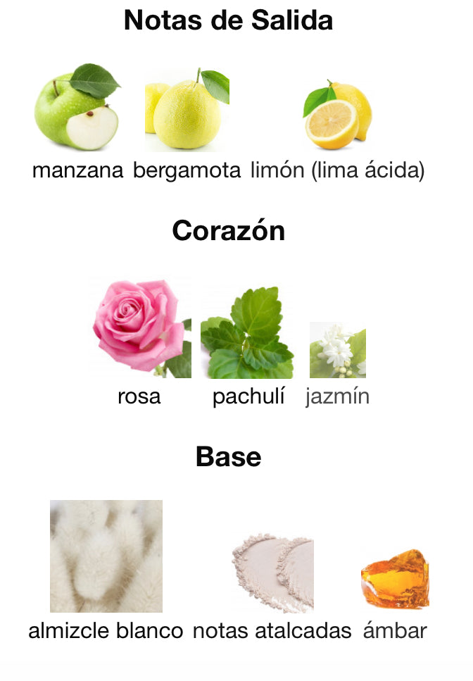 STARRY NIGHT - MONTALE