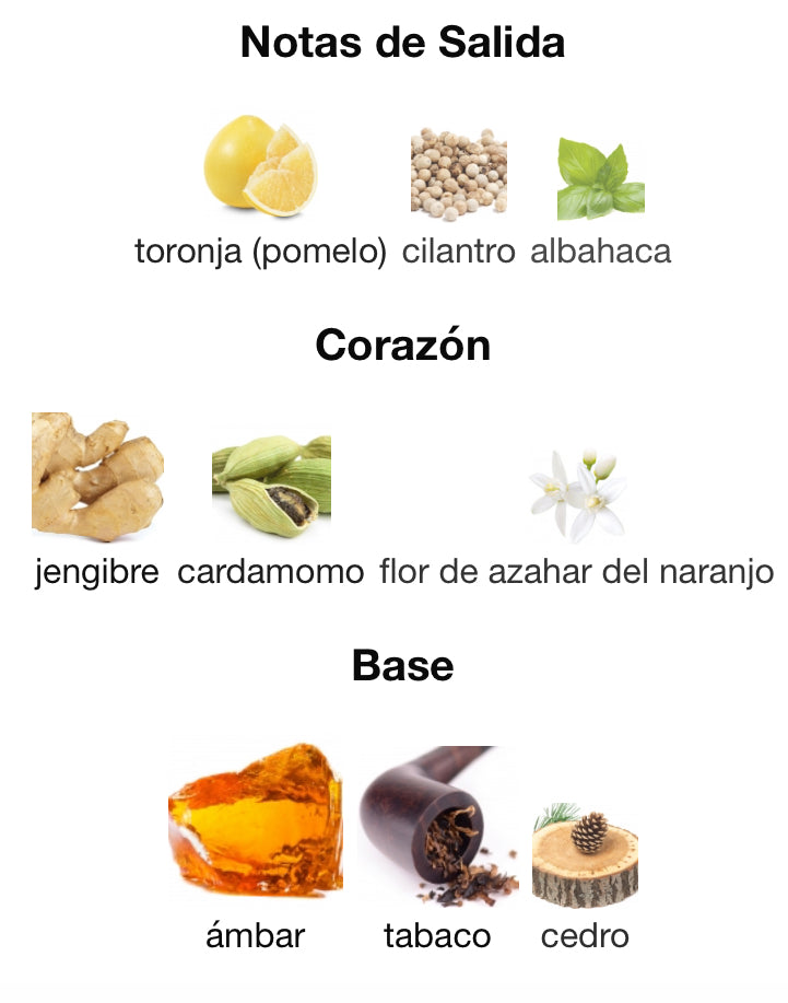 THE ONE FOR MEN - DOLCE & GABBANA