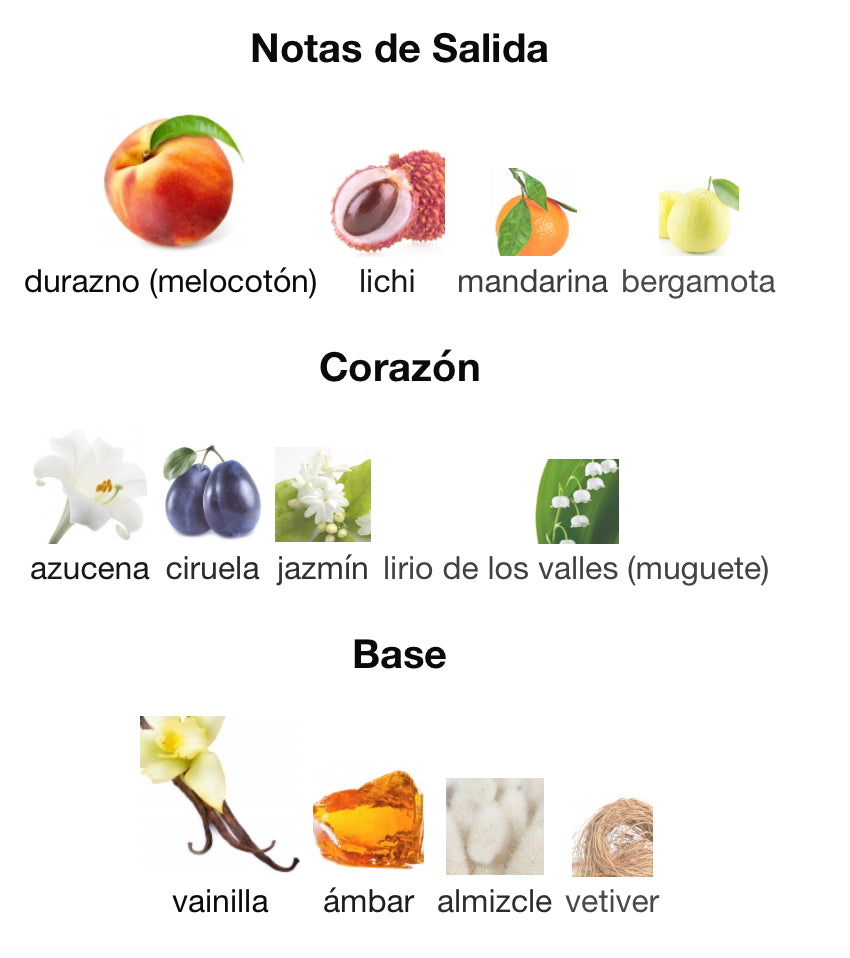 THE ONE FOR WOMAN - DOLCE & GABBANA