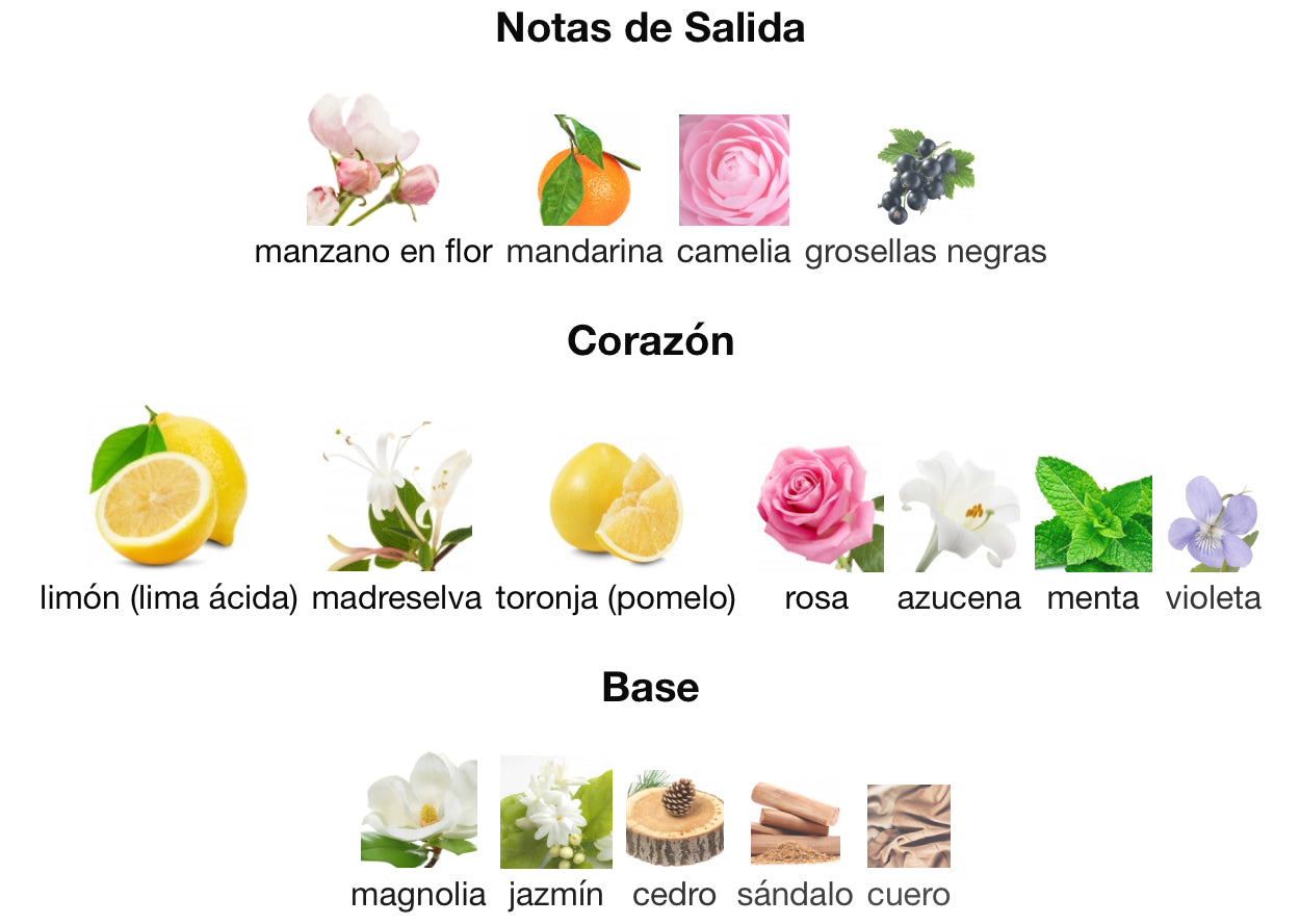 TOMMY GIRL - TOMMY HILFIGER