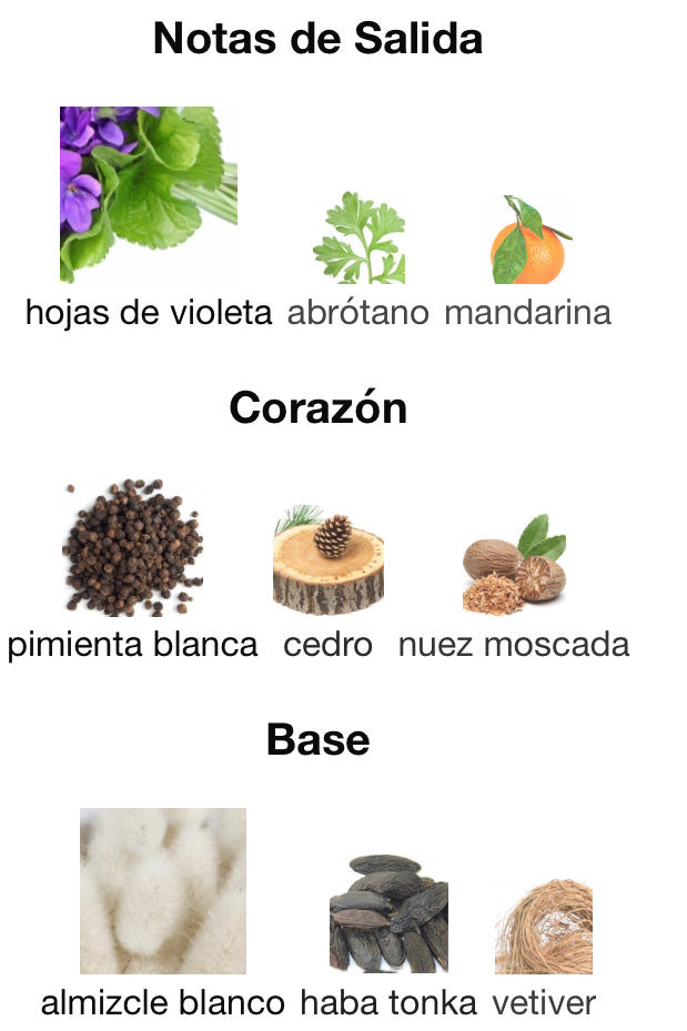 TOUCH FOR MEN - BURBERRY