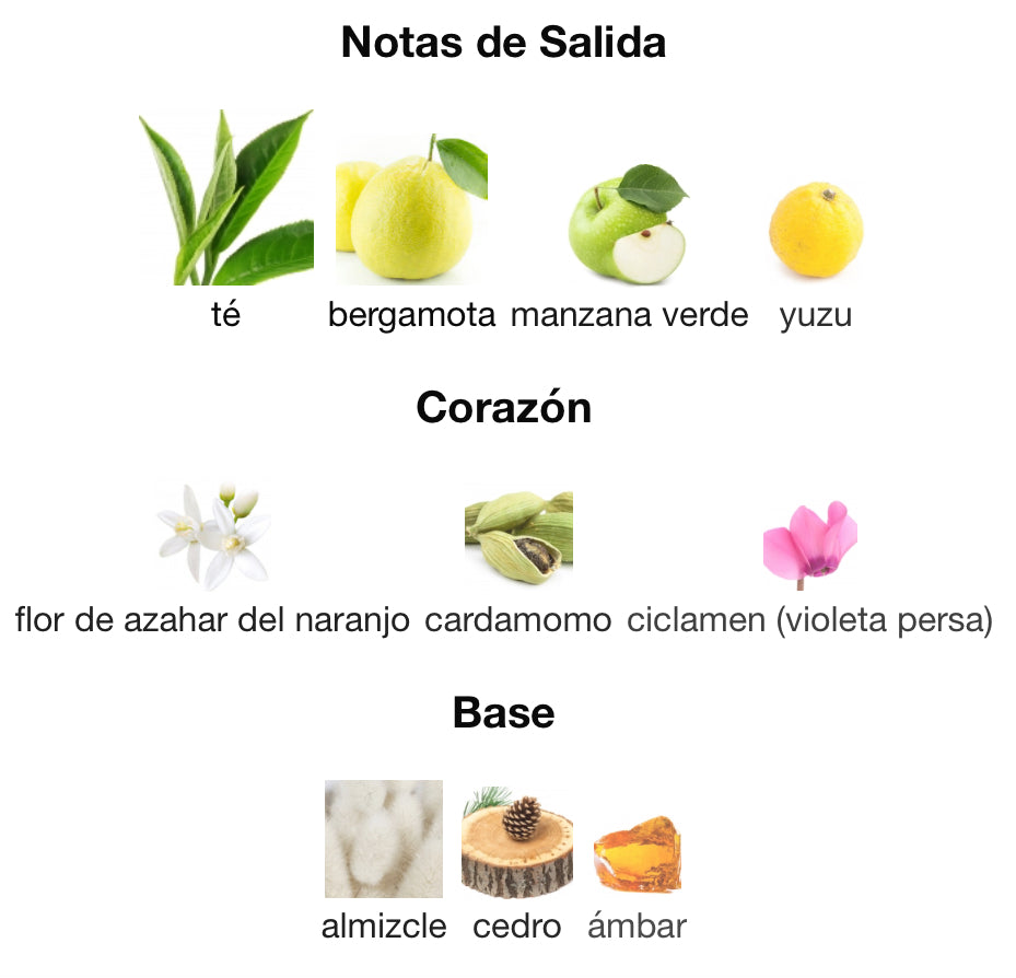 UNITED DREAMS LIVE FREE - BENETTON