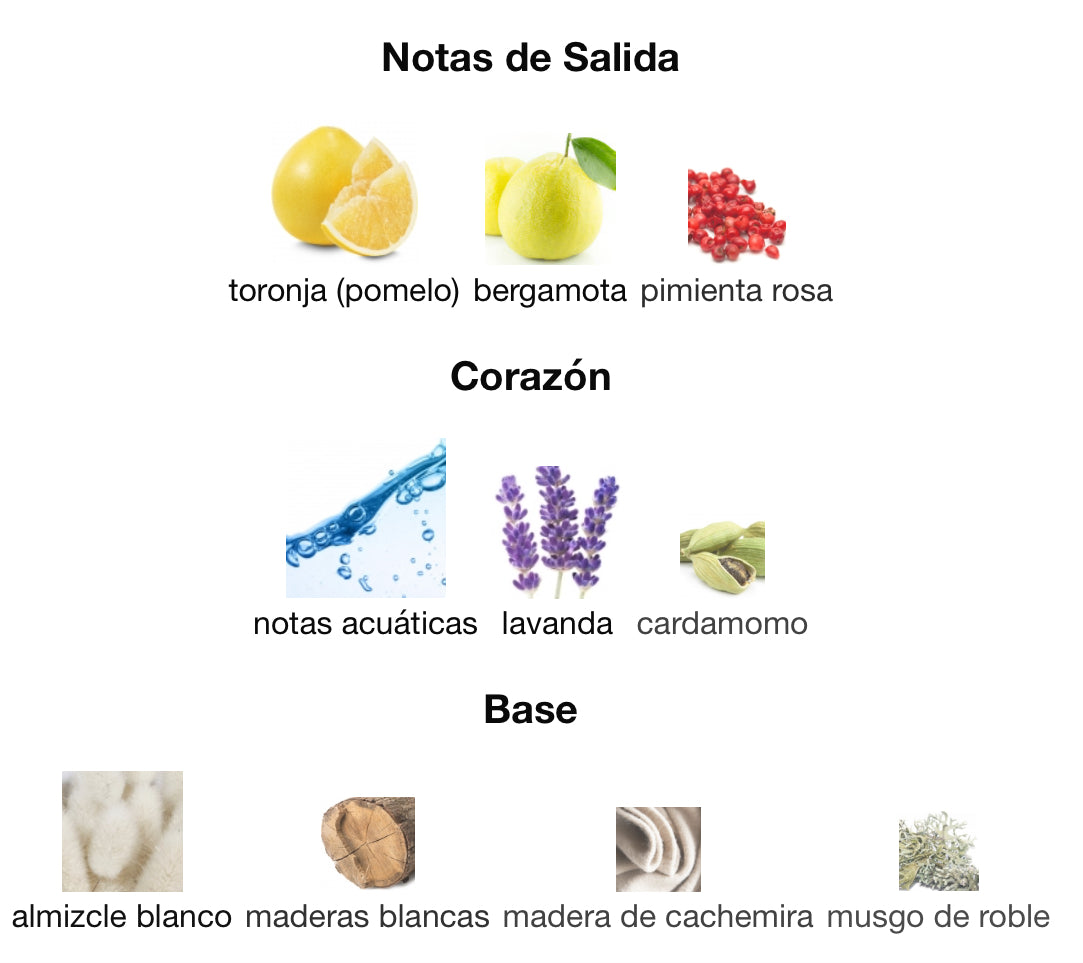 LEGEND SPIRIT - MONTBLANC