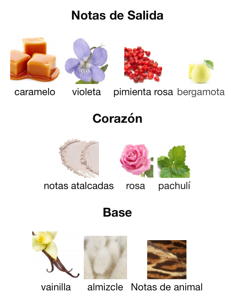 VELVET GOLD - ORIENTICA