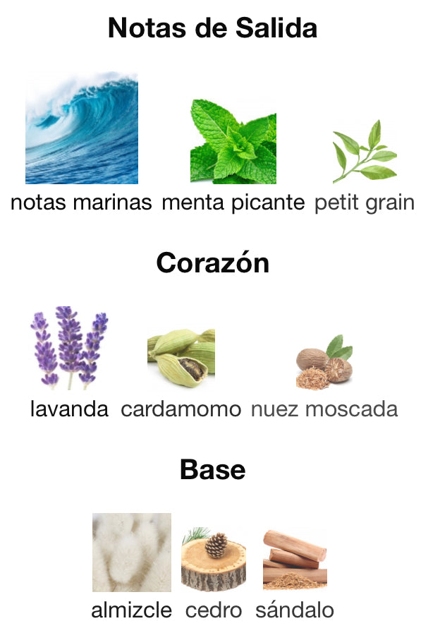 VOYAGE N83 - NAUTICA