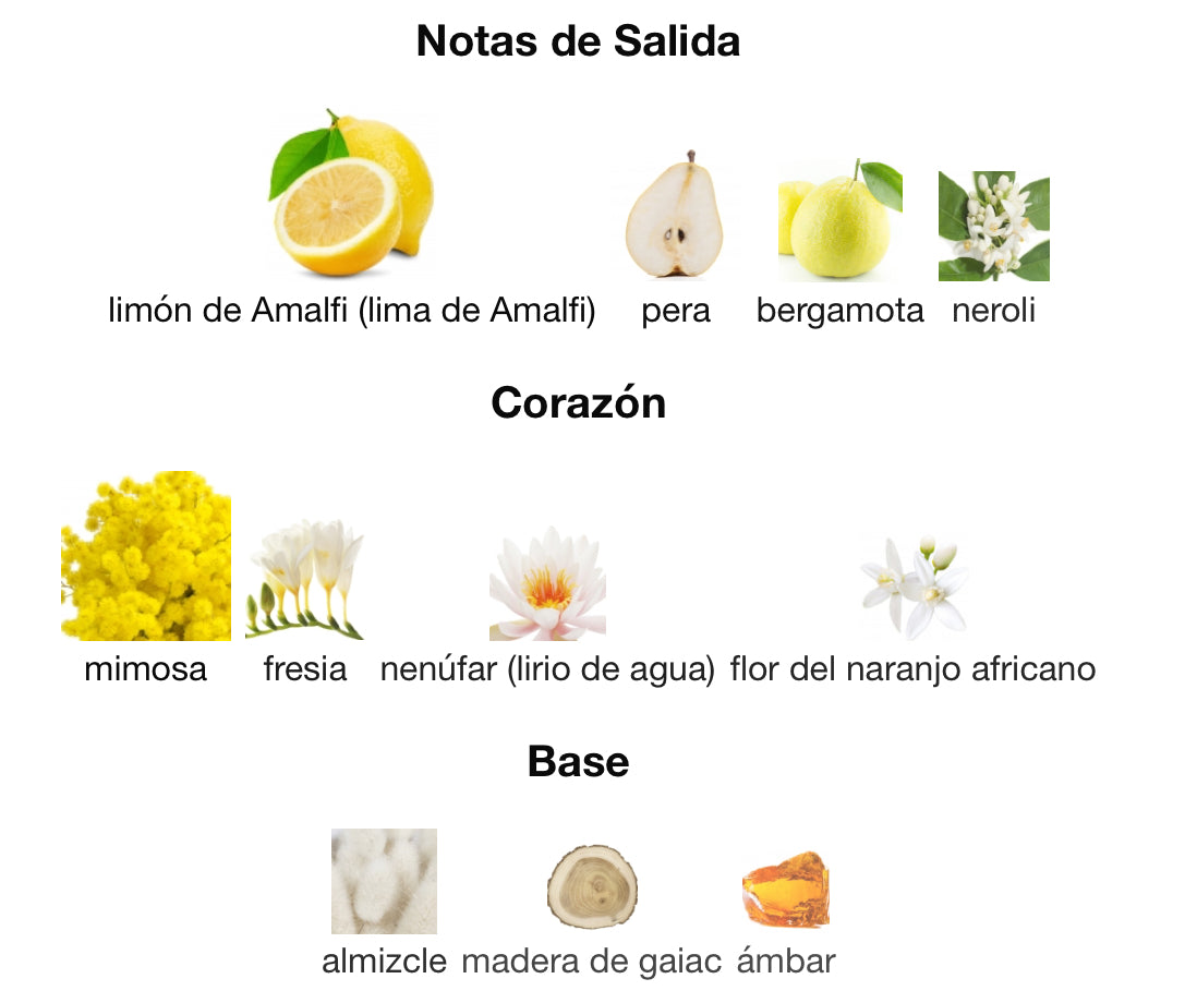 YELLOW DIAMOND - VERSACE