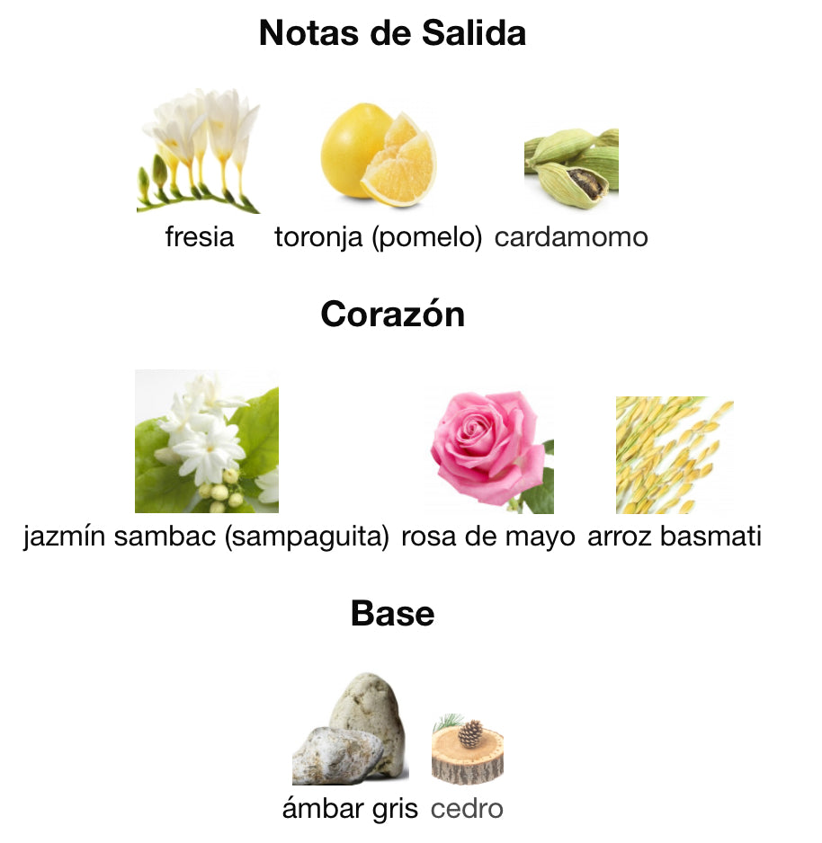 SHADES OF KOLAM - ISSEY MIYAKE