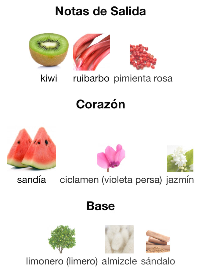 L´IMPERATRICE - DOLCE & GABBANA