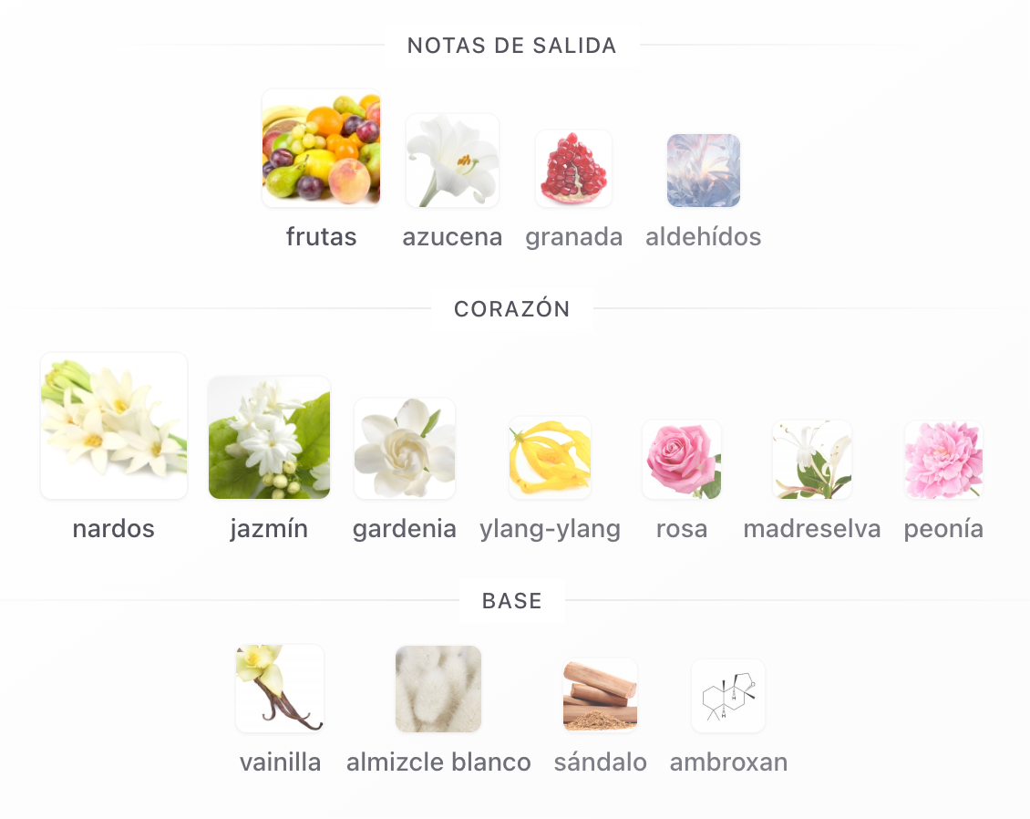 FAKHAR ROSE - LATTAFA