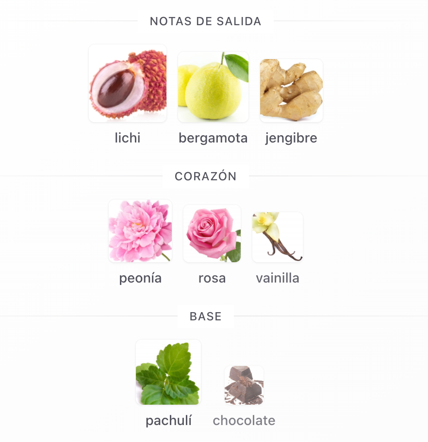 RAYHAAN DIVINE - RAYHAAN